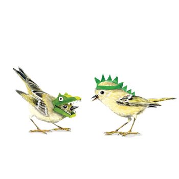 Kinglets Print