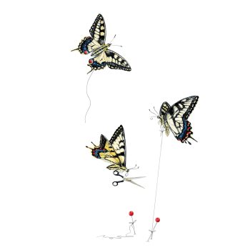 Swallowtails Print