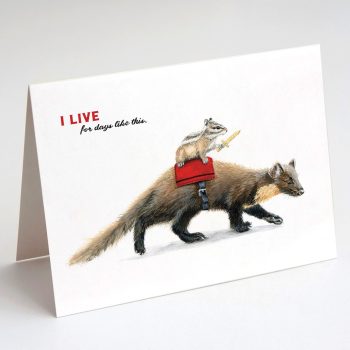 Pine Marten Card