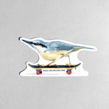 Nuthatch Skater Sticker