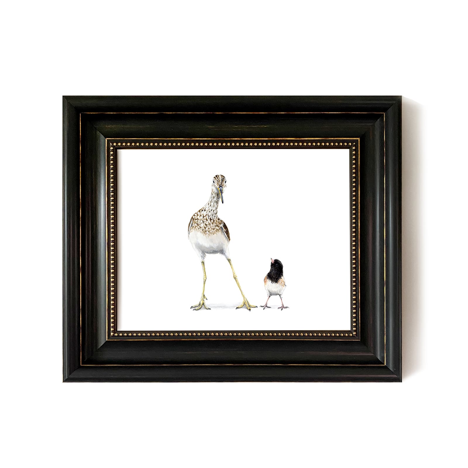 Upland Sandpiper & Junco - Original Artwork Framed