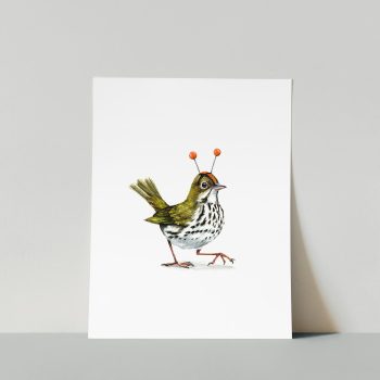 Ovenbird Print