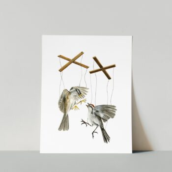 Fighting Sparrows Print