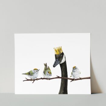 Golden-Crowned Kinglets Print