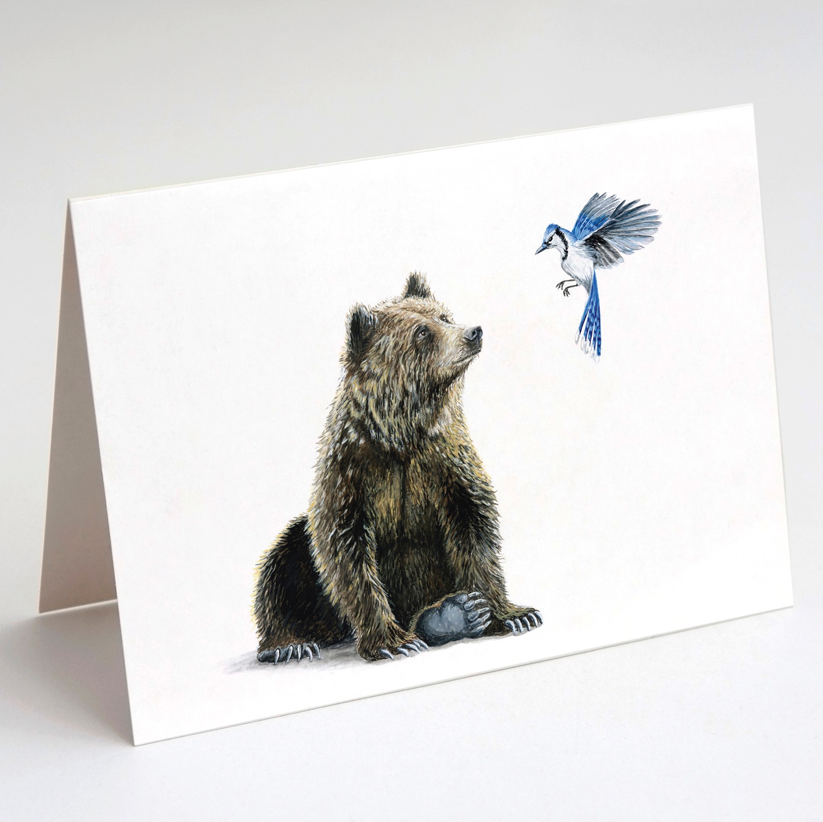 Grizzly and Blue Jay Card