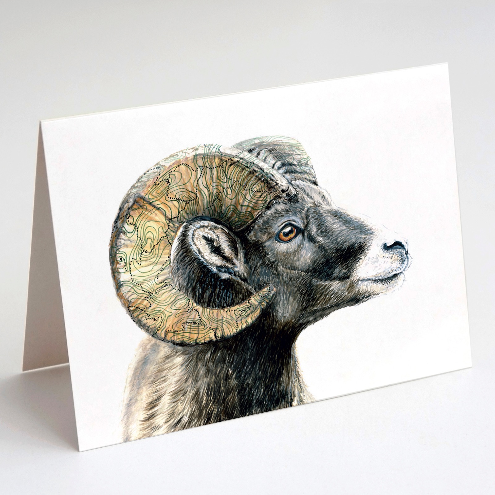 Bighorn Sheep Card