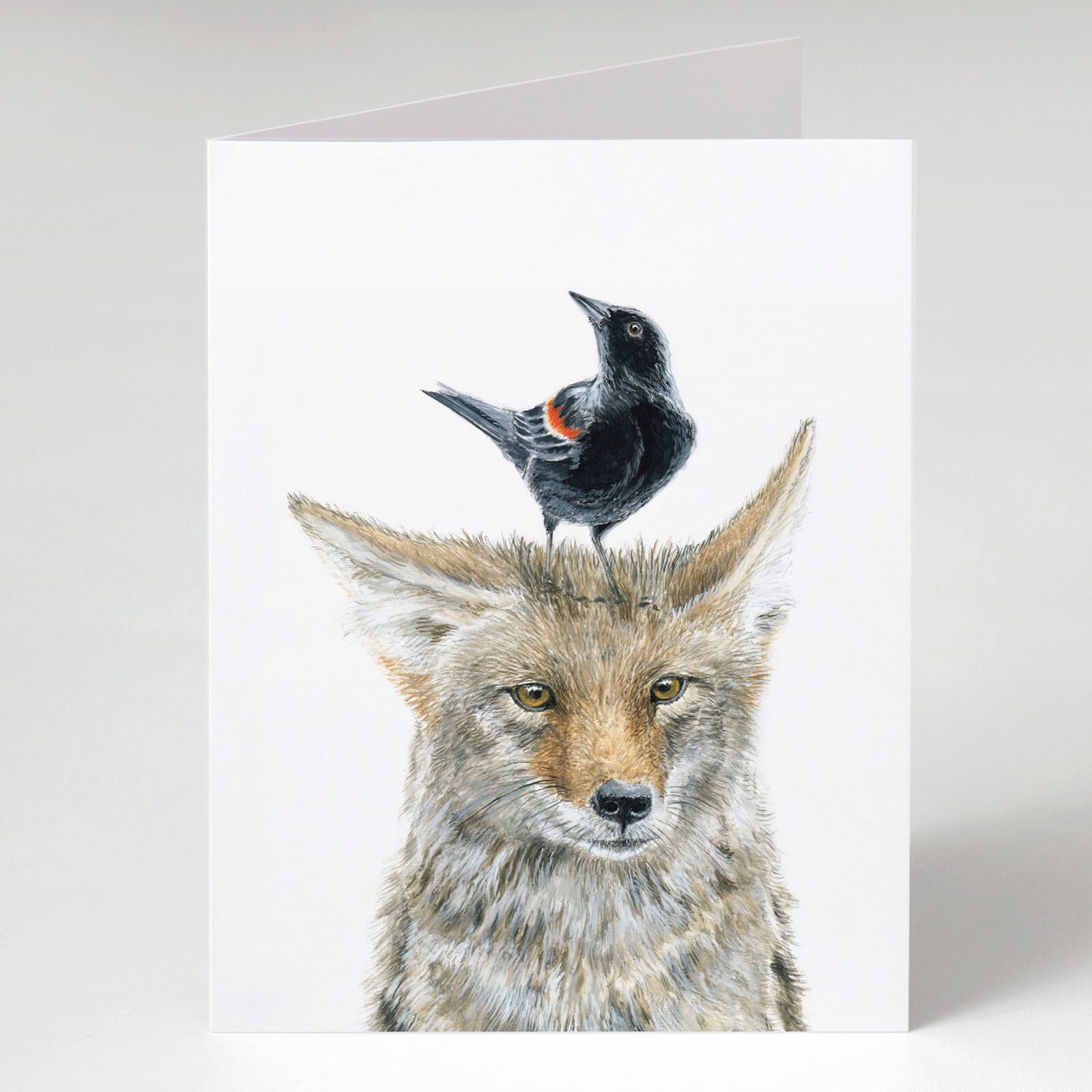Coyote & Blackbird Card