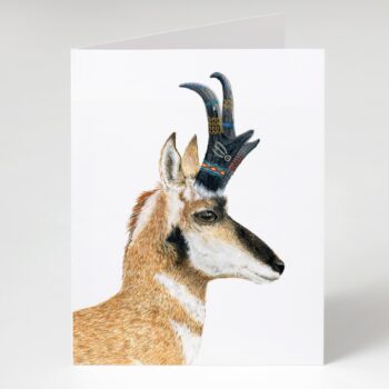 Pronghorn Card