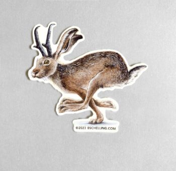 Jackalope 2 Sticker