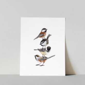 four chickadees print