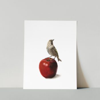 pine siskin II print