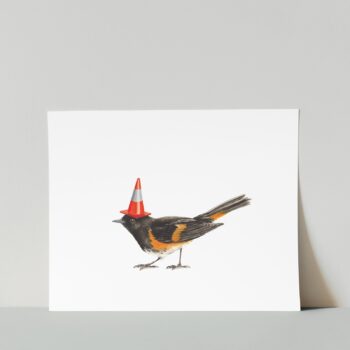 redstart print