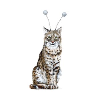 Thingamabobcat original painting