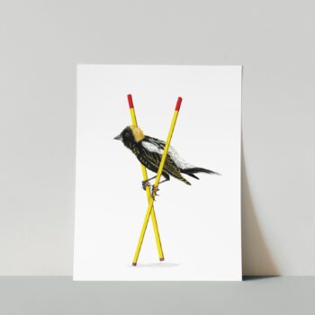 Bobolink Print