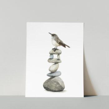 Rock Wren Print