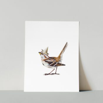 Common Tree Sparrow Print