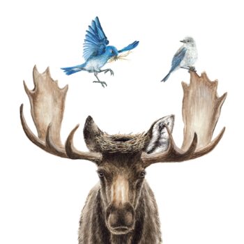 Moose and Bluebird Painting
