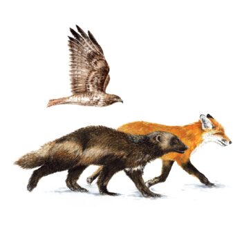 The Travelers Painting