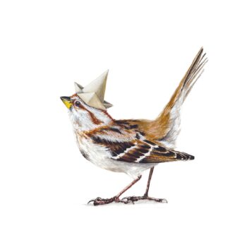 Common Tree Sparrow original painting