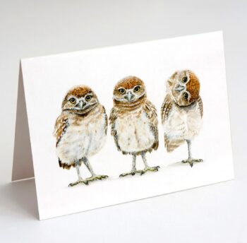 Burrowing Owl note card