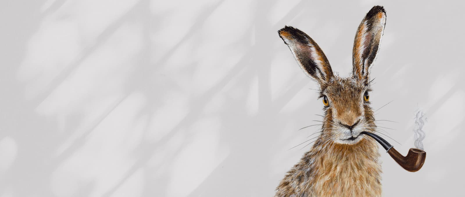 banner_website_jack-web