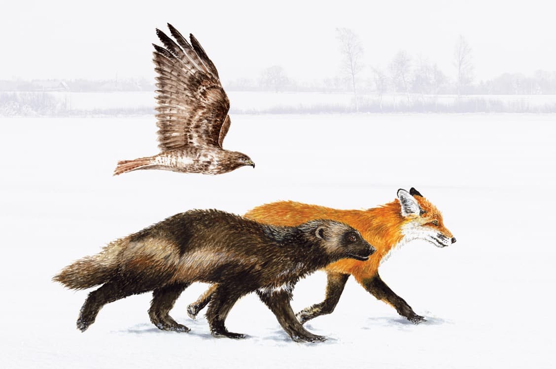 2026_slider home_mobiley